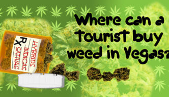 Where can a tourist buy weed in Las Vegas?