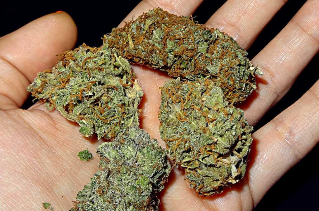Tips From Medical Marijuana Dispensaries Las Vegas Residents Should